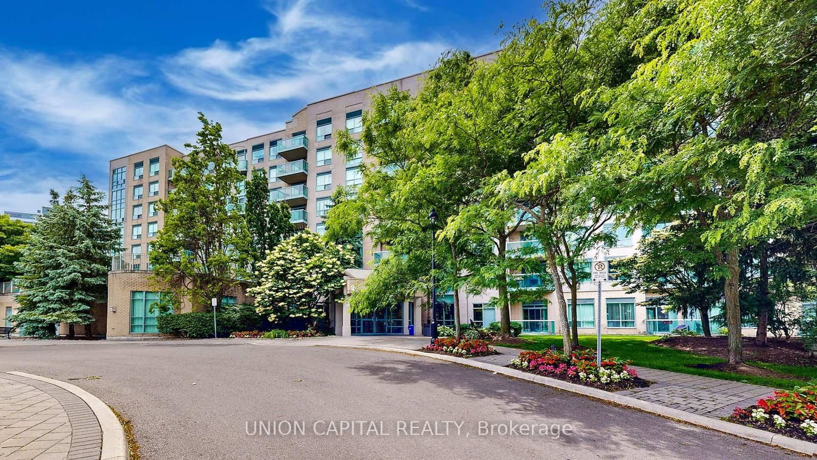 #217 - 3 Ellesmere Street