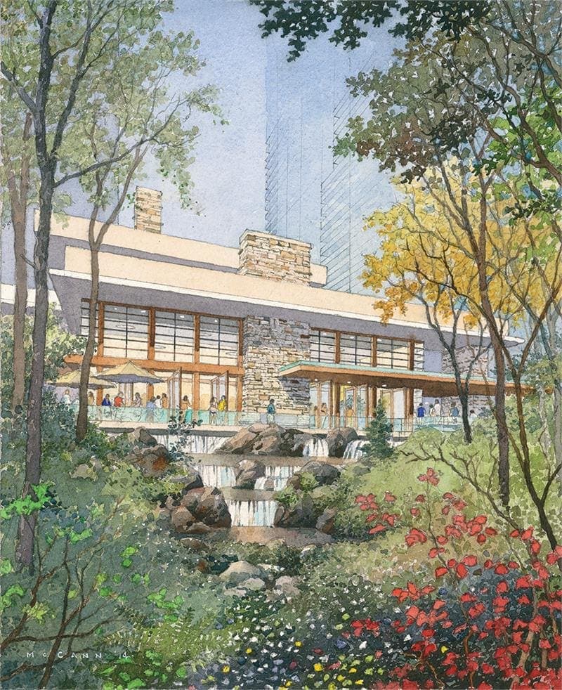The Ravine - Image 4